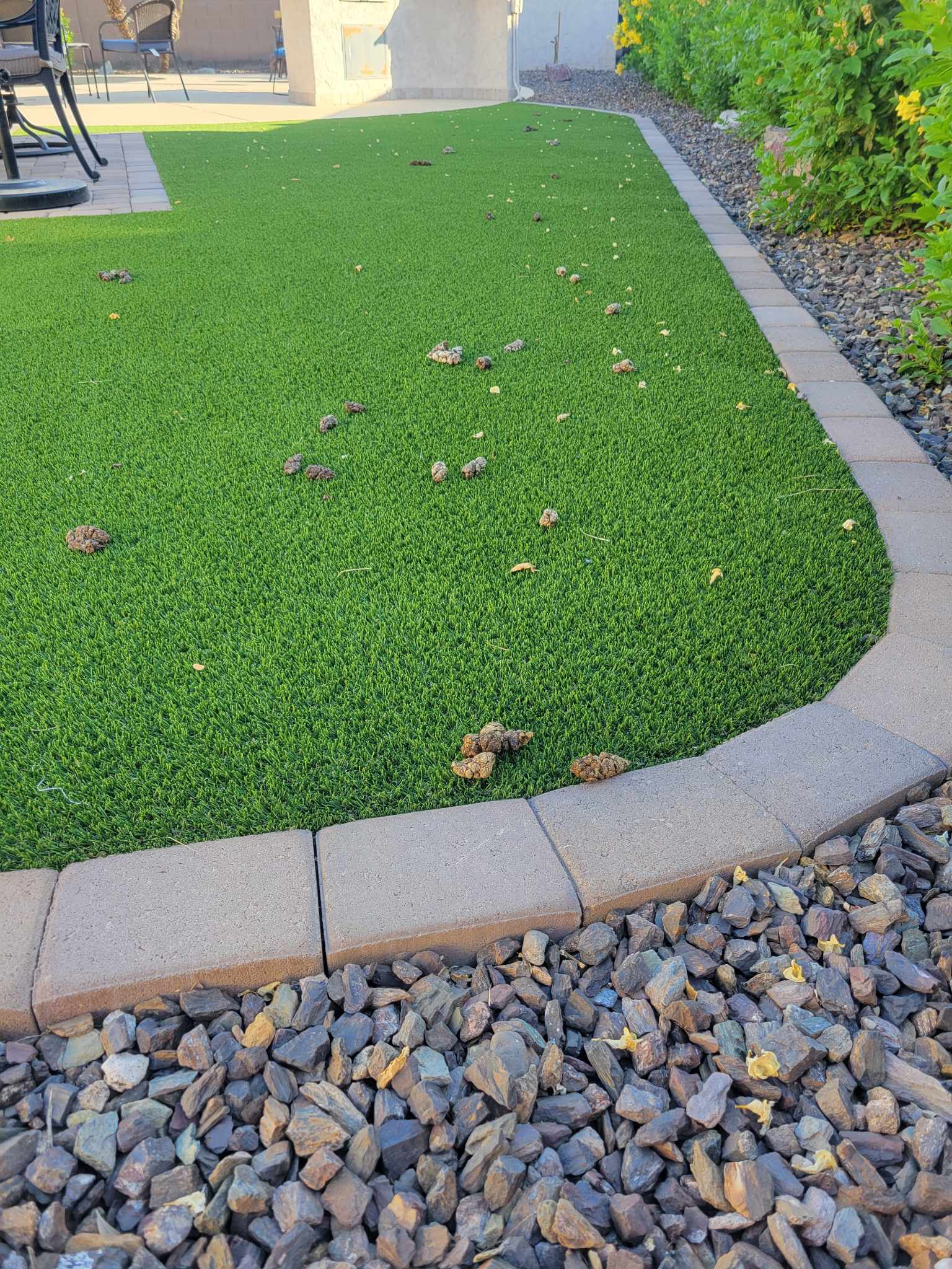 Before Dog Poop scoop image