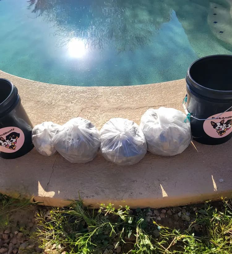 dogPoopBagsbyPool